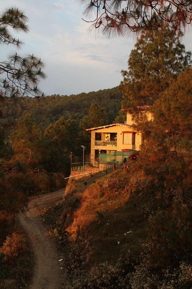 Guldaar Basera lit at dusk on a forested Himalayan hillside