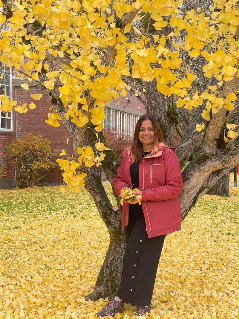 Alka Joshi Kaushik, the host at Guldaar Basera, under a ginkgo tree in autumn