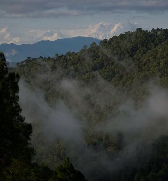 Snow-covered Himalayan peaks seen from Ranikhet