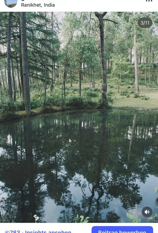 Forest reflected in a still pond